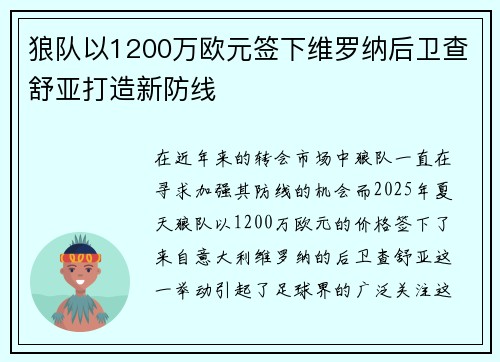 狼队以1200万欧元签下维罗纳后卫查舒亚打造新防线